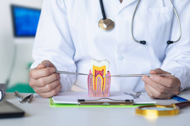 Best Emergency TMJ Treatment in Beaver Creek, TX